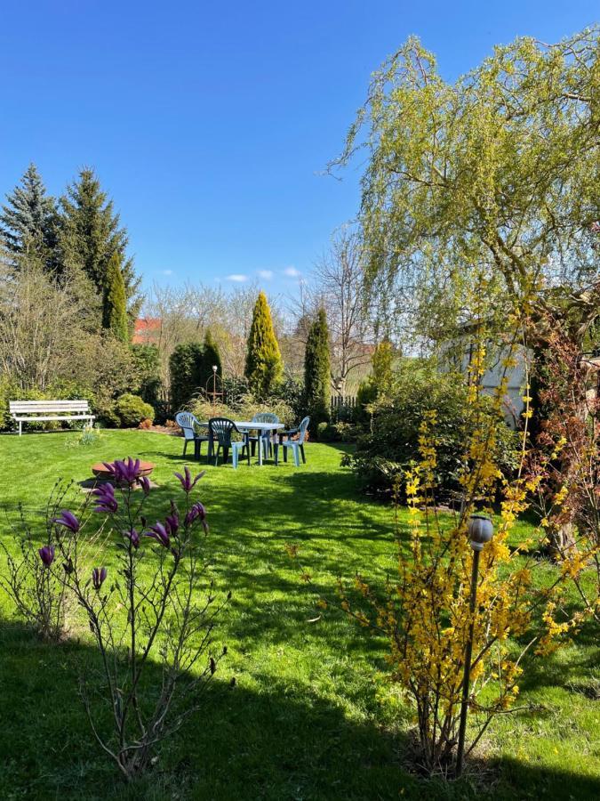 Gemuetliches Appartement - 20 Min Bis Dresden Leppersdorf Εξωτερικό φωτογραφία